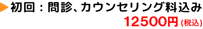 初回:問診、カウンセリング料込み